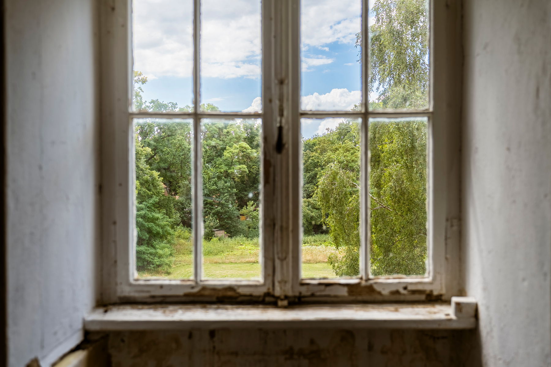 The view from a window into the park