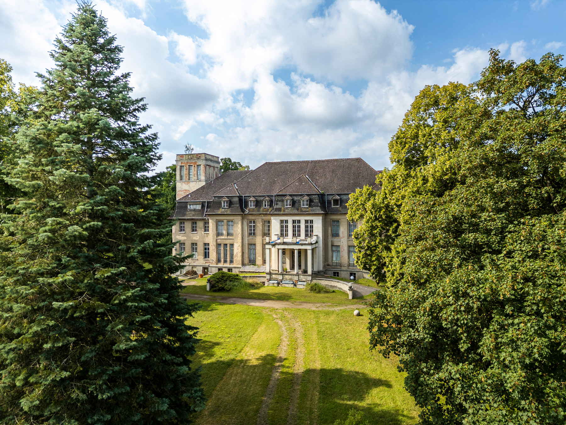 The house seen through old trees in summer light