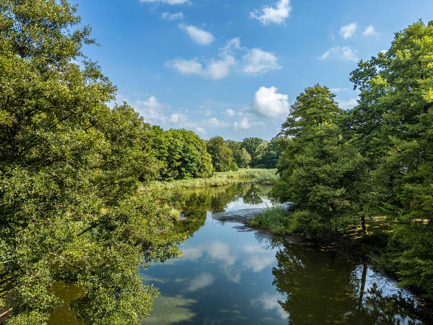 The pond in the park, the water still